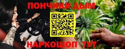 apvp Пугачёв