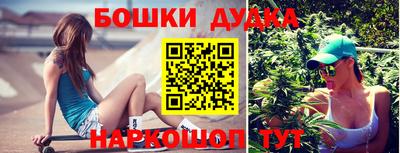 apvp Пугачёв