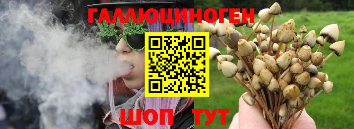 Галлюциногенные грибы Psilocybe  Вход с VPN  Урай 